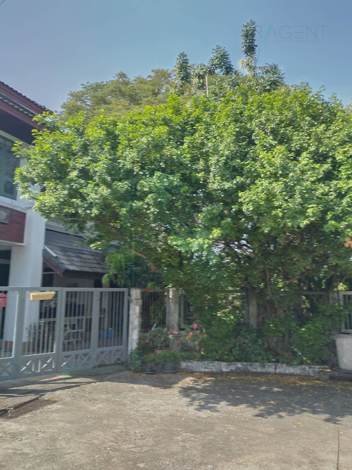 รูป 📌 ขายบ้านเดี่ยว โครงการ วรารักษ์ รามอินทรา 2 ชั้น 4 ห้องนอน 4 ห้องน้ำ - รูปที่ 8/8