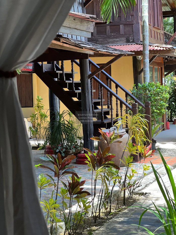 รูป เช่าบ้าน ภูเก็ต - ไทยเฮ้าส์ เทพกระษัตรี ถลาง ภูเก็ต CX-161753 ✅ ทักไลน์ @connexproperty ตอบทันที ทีมงานมืออาชีพ ✅ - รูปที่ 5/12