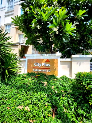 Townhouses for rent วิทยาลัยเซาธ์อีสท์บางกอก : 📌 For Rent 3-story Townhouse CITY PLUS SUKHUMVIT 50 3 bedroom 4 bathroom