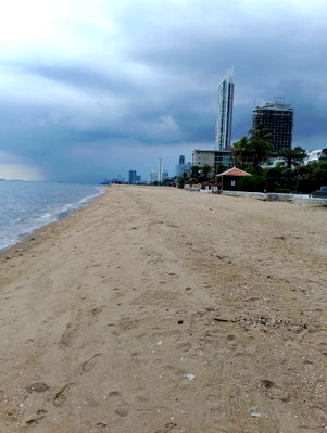 ที่ดิน ชลบุรี : ที่ดิน8ไร่ ติดทะเลหาดจอมเทียนพัทยา