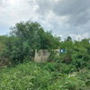 listing thumbnail image 4