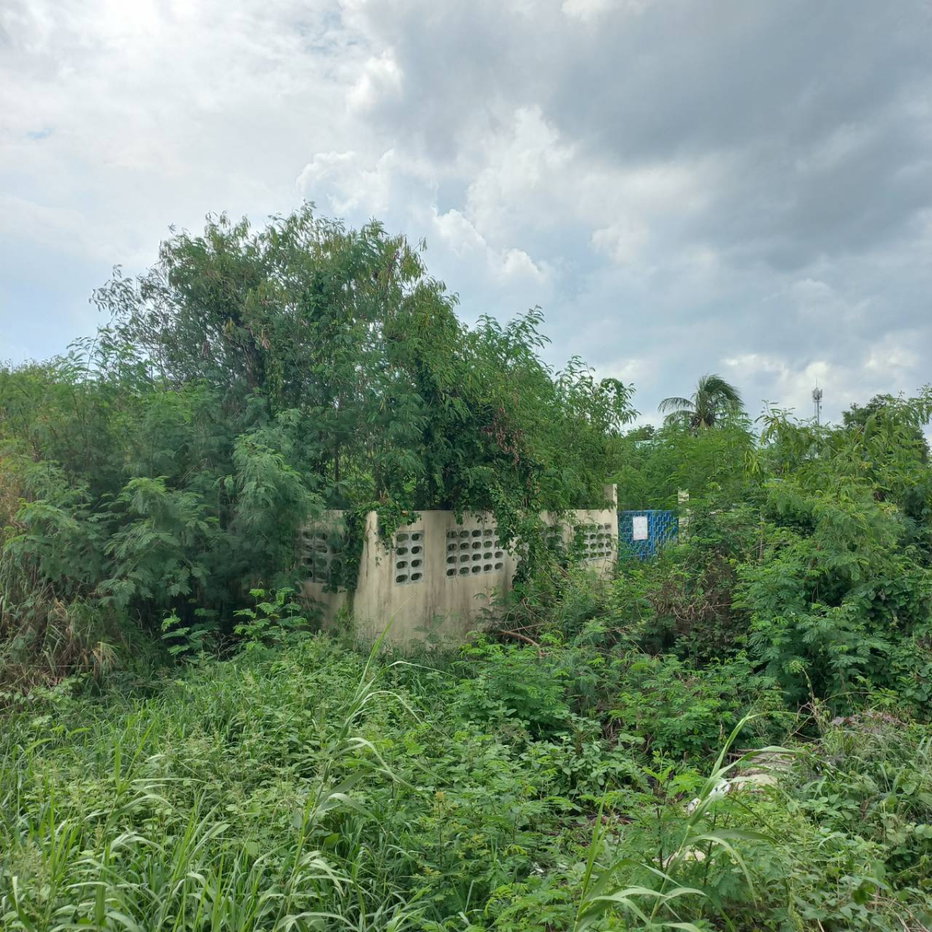 picture Direct sale by owner— 2-rai plot on a main road (Khlong Khwang Subdistrict). Solidly filled 10 years ago and enclosed by a brick wall - 5/7