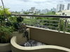 listing thumbnail image 26