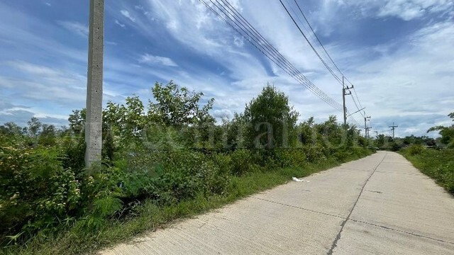 รูป ที่ดินเปล่า ต.หินกอง อ.เมืองราชบุรี 5 ไร่ ที่ดินสวยหน้ากว้างเข้าซอยเพียง 900 เมตร - รูปที่ 7/14