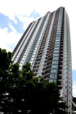 Condos for rent : To let ; The most beautiful one bed in the project, 54 sq m, ready to move in, Supalai Park Ekkamai-Thonglor.