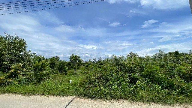 รูป ที่ดินเปล่า ต.หินกอง อ.เมืองราชบุรี 5 ไร่ ที่ดินสวยหน้ากว้างเข้าซอยเพียง 900 เมตร - รูปที่ 14/14