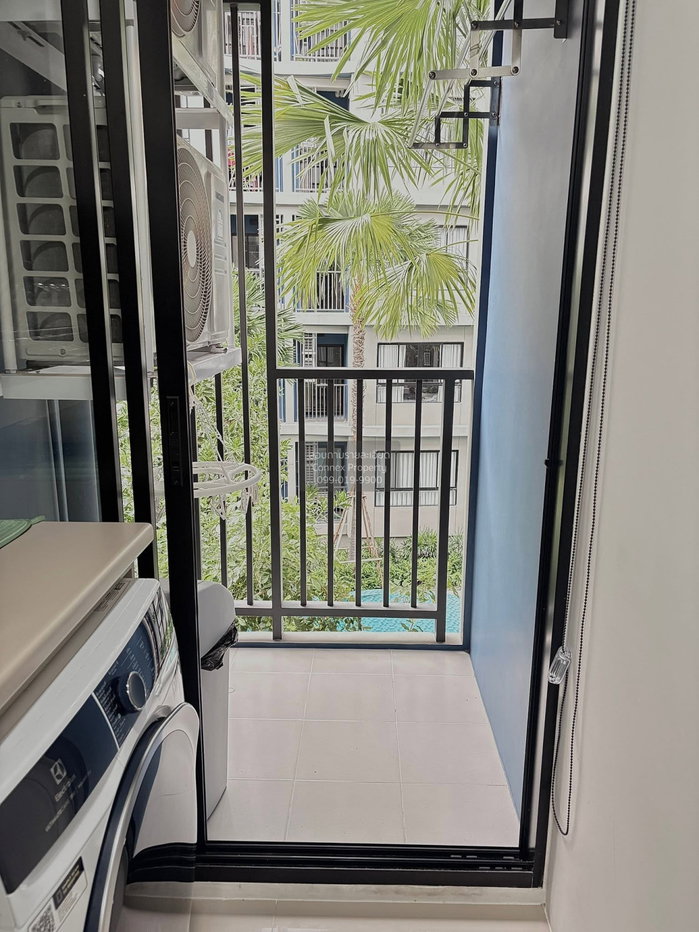 รูป เช่าคอนโด ดีคอนโด รีฟ ภูเก็ต กะทู้ กะทู้ ภูเก็ต CX-163011 ✅ ทักไลน์ @connexproperty ตอบทันที ทีมงานมืออาชีพ ✅ - รูปที่ 9/10
