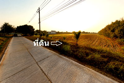 Land for sale Phichit : Land for Sale Near Bueng Si Fai, Phichit Province, Thailand
