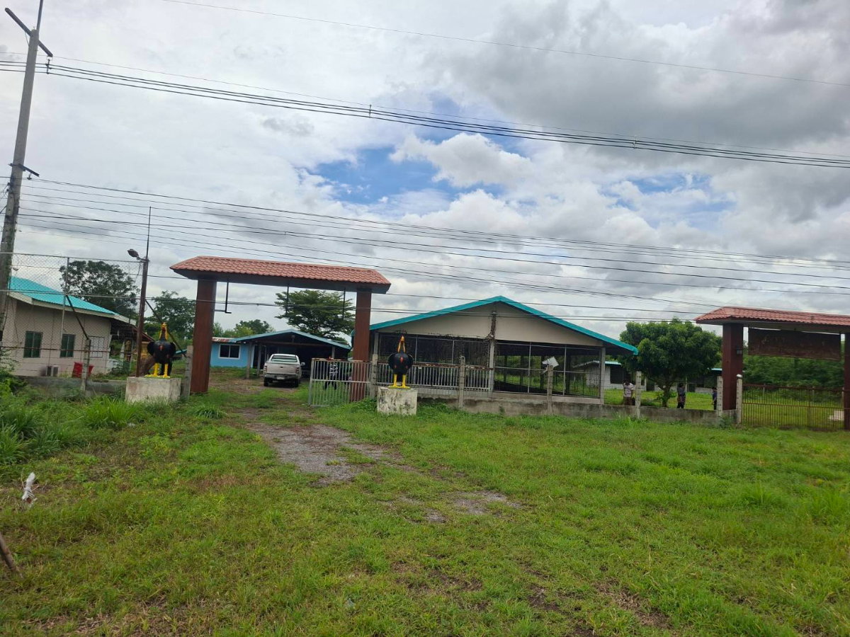รูป ขายที่ดินแปลงใหญ่ ติดถนน 4เลน สระบุรี-เพชรบูรณ์ - รูปที่ 6/22