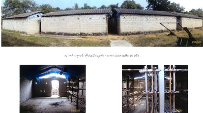 ที่ดิน บางแพ ราชบุรี : ที่ดินพร้อมสิ่งปลูกสร้าง 400 ตร.วา อำเภอบางแพ จังหวัดราชบุรี 818,000