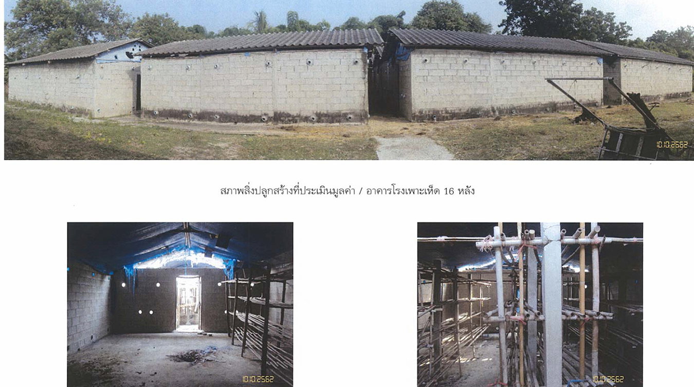 รูป ที่ดินพร้อมสิ่งปลูกสร้าง 400 ตร.วา อำเภอบางแพ จังหวัดราชบุรี 818,000 - รูปที่ 1/3