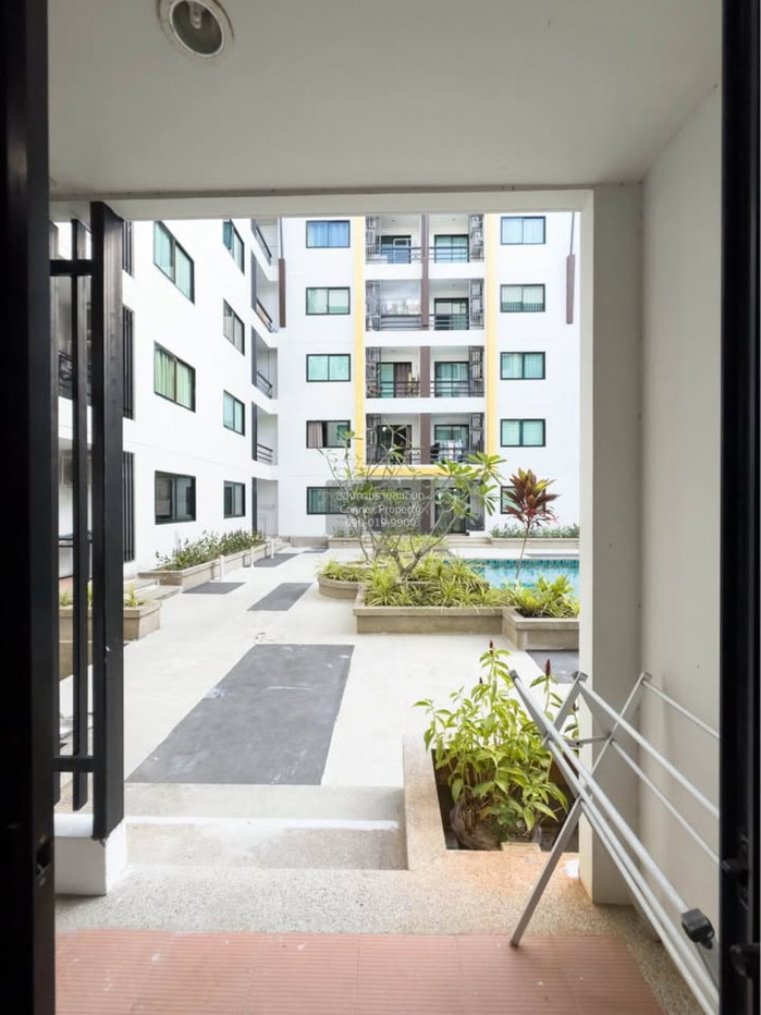 รูป 🔥🔥🔥 ขายคอนโด  รัชพร เพลส กะทู้ กะทู้ ภูเก็ต CX-160263 ✅ ทักไลน์ @connexproperty ตอบทันที ทีมงานมืออาชีพ ✅ 🔥🔥🔥 - รูปที่ 9/9