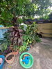 listing thumbnail image 16