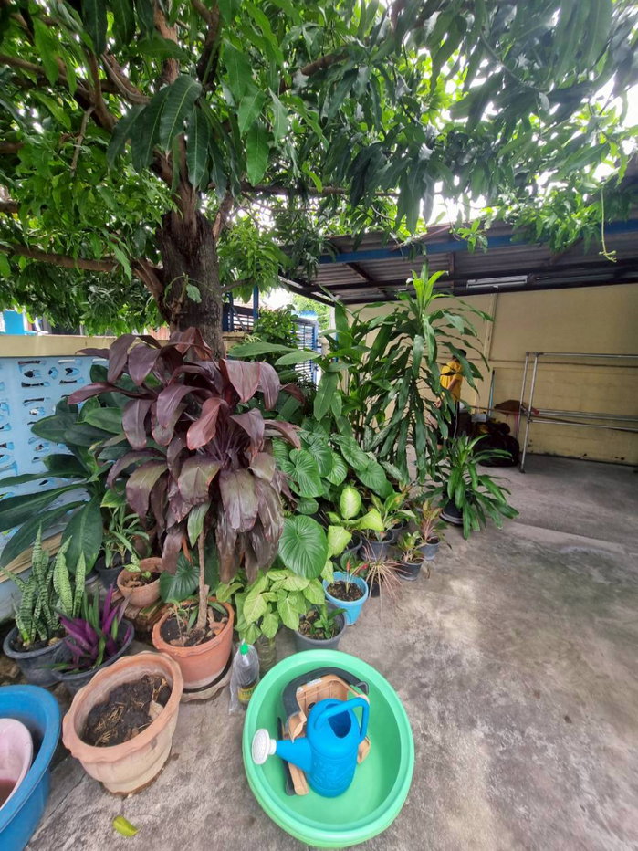 picture Townhouse for sale, corner unit, located on Nawamin 74. - 17/28