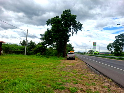 ที่ดิน พัฒนานิคม ลพบุรี : ขายที่ดินแปลงใหญ่ ติดถนน 4เลน สระบุรี-เพชรบูรณ์ 
