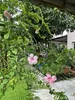 listing thumbnail image 23