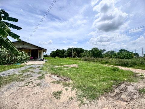 Vacant land for sale in Nong Chok, Pracha Samran 1 Rd. (Soi Khlong Sip Sam) **Only 1,875 THB/square wa** (N.1716)