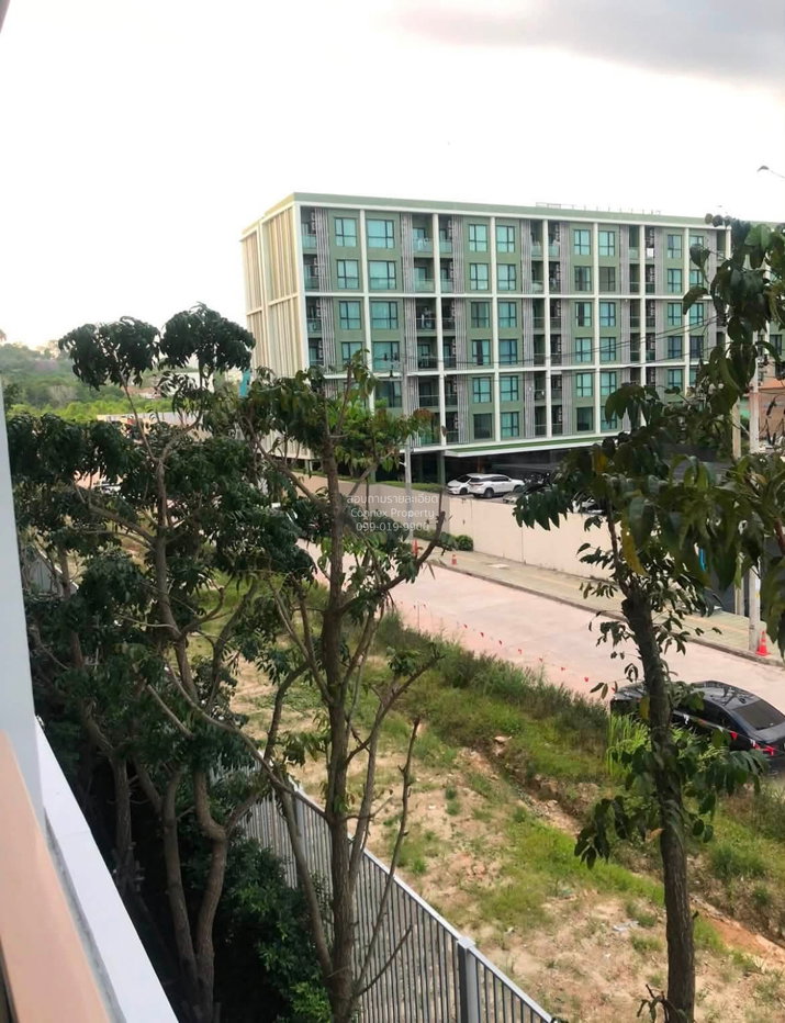 picture 🔥🔥🔥 For Rent Condo , Phyll Phuket , Wichit , Mueang Phuket , Phuket , CX-165167 ✅ Live chat with us ADD LINE @connexproperty ✅ 🔥🔥🔥 - 10/10