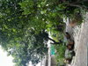 listing thumbnail image 9