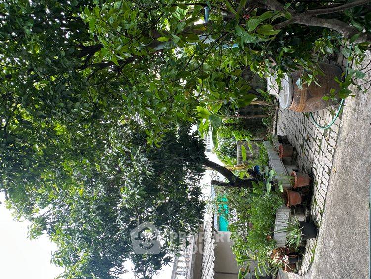 รูป บ้านห้าห้องนอนเลี้ยงสัตว์ได้ใน Rung Sawang Village ย่านอนุสาวรีย์ (ID 3181366) - รูปที่ 10/10