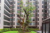 listing thumbnail image 16