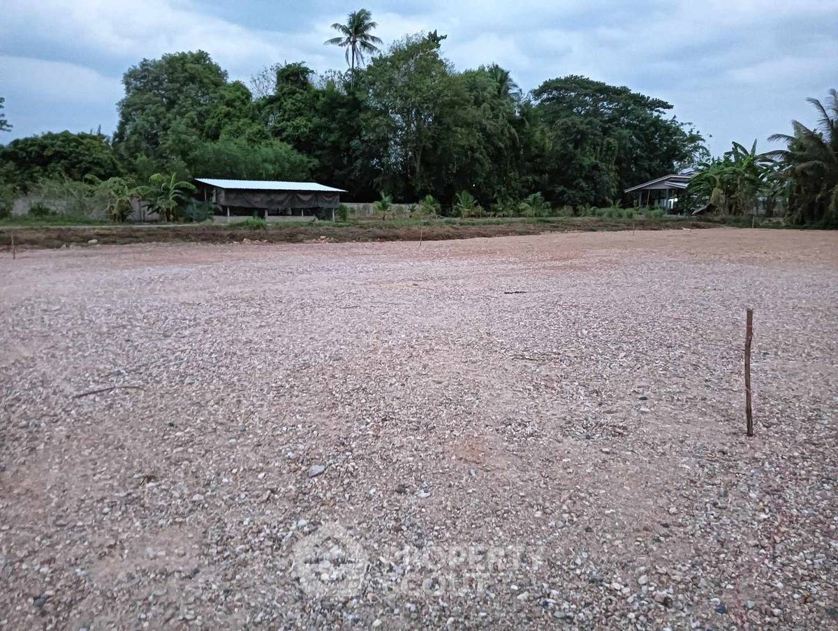 รูป ที่ดินขายในโครงการ Sakda Namwong Land ขี้เหล็ก แม่ริม เชียงใหม่ (ID 3183619) - รูปที่ 2/6