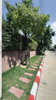 listing thumbnail image 32