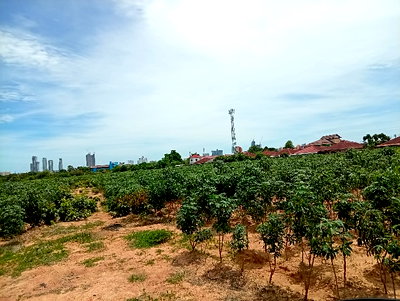 ที่ดิน ชลบุรี : ที่ดินกลางเมืองพัทยา พื้นที่40ไร่+ เหมาะพัฒนาทำจัดสรร