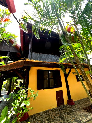 Houses for rent Thalang Phuket : For Rent House , Phuket - Thaihouse , Thep Krasattri , Thalang , Phuket , CX-161753 ✅ Live chat with us ADD LINE @connexproperty ✅