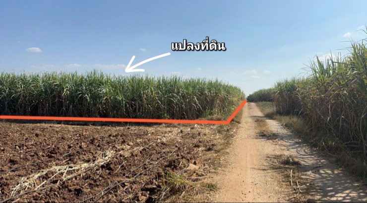 รูป ที่ดินแปลงสวยทรงสี่เหลี่ยม 79 ไร่ เอราวัณ จ.เลย - รูปที่ 5/7