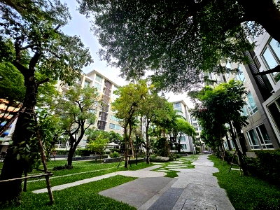 Condos for sale : S020033 Elements Srinakarin