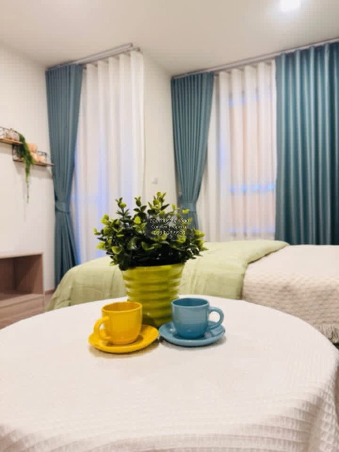 picture 🔥🔥🔥 For Rent Condo , dcondo reef Phuket , Kathu , Kathu , Phuket , CX-164974 ✅ Live chat with us ADD LINE @connexproperty ✅ 🔥🔥🔥 - 3/6