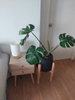 listing thumbnail image 11