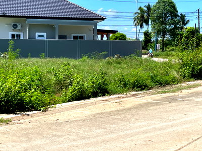 Land for sale Prince of Songkla University Trang Campus : Beautiful Corner Land for Sale – 193 sq.wah, Only 2 km from Prince of Songkla University, Trang Campus