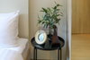 listing thumbnail image 11