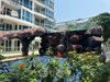 listing thumbnail image 29