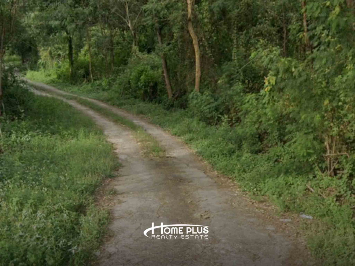 รูป 🌳 ขายที่ดินเปล่า 1 ไร่ ทำเลศักยภาพ อำเภอวังน้อย อยุธยา - รูปที่ 2/3