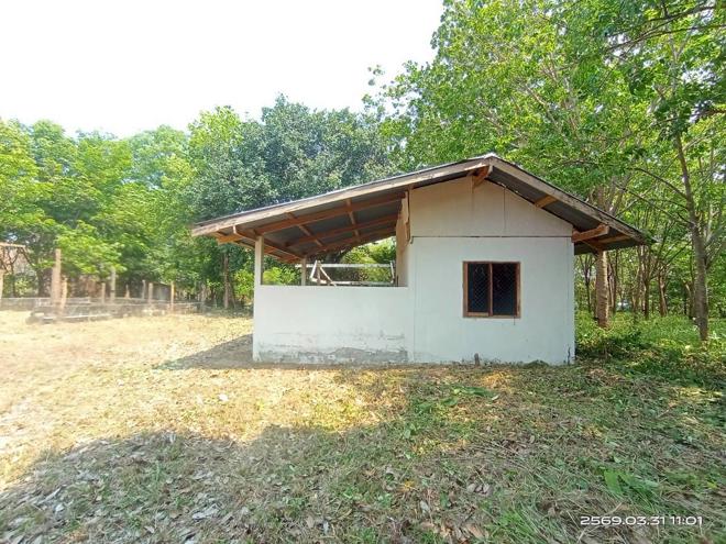 รูป บ้านเดี่ยว 1207 ตร.วา นามน กาฬสินธุ์ 2.4M - รูปที่ 2/31