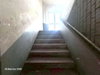 listing thumbnail image 42