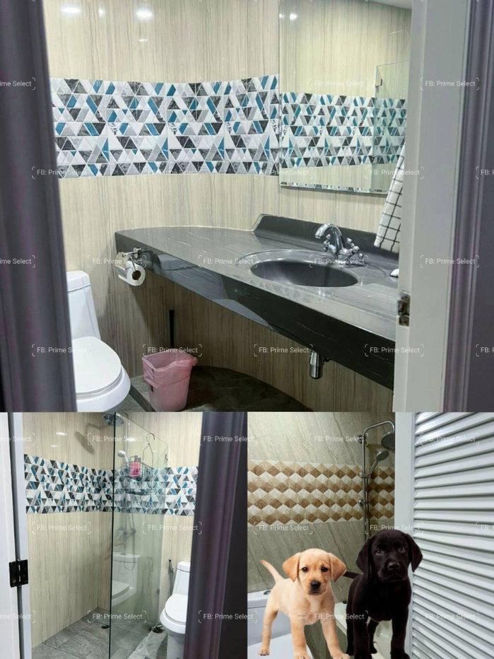picture Big Pet-Friendly Condo for Rent BTS Phrom Phong/BTS Thonglor/Rooftop grass zone for pooping/Bathtub/Near Maestro39 - 11/11