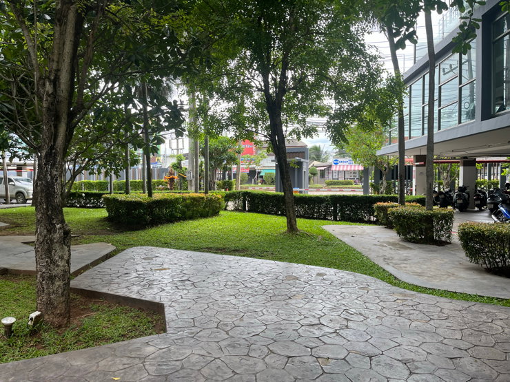 picture Rent-Sell Plus Condo Suratthani - 14/15