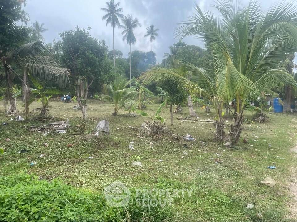 picture Land For Rent At Maenam Beach, Koh Samui (ID 3121278) - 3/10