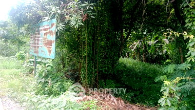 Land for sale Mae On Chiang Mai : Land For Sale Near San Kam Phaeng Hot Spring, Chiang Mai (ID 3119152)