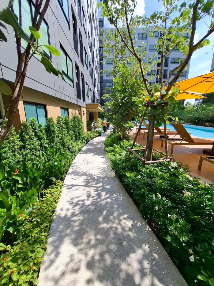 รูป 🏢✨ ขายด่วน เวย์ อยุธยา ห้องสวยพร้อมเข้าอยู่ ทักเลย !! - รูปที่ 24/25