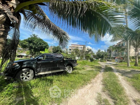 Land For Rent At Maenam Beach, Koh Samui (ID 3121278)