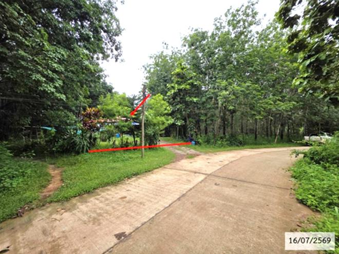 รูป บ้านเดี่ยว 592 ตร.วา โพนสวรรค์ นครพนม 2.4M - รูปที่ 5/15