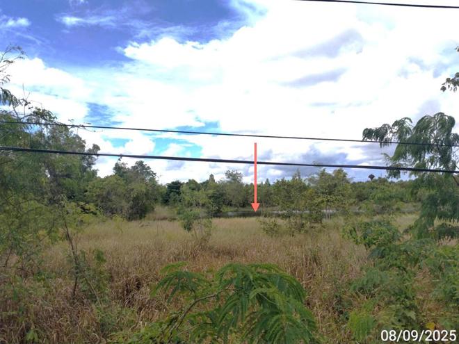 picture LAND 11758 Sq.w. Aranyaprathet Srakaeo for 74.1M - 8/21