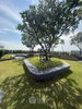 listing thumbnail image 19