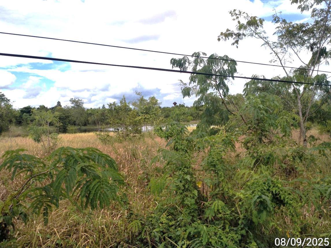 picture LAND 11758 Sq.w. Aranyaprathet Srakaeo for 74.1M - 15/21