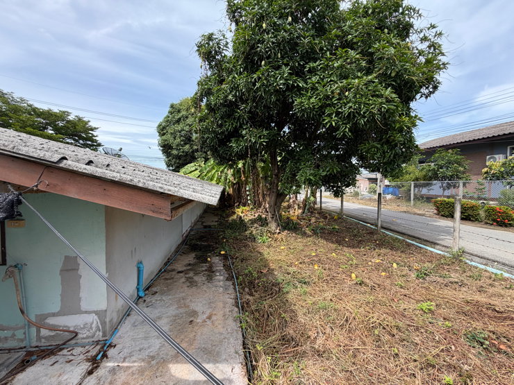 รูป บ้านสวน 4 ห้องนอน 2 ห้องน้ำ พร้อมอาคาร 2 หลัง บนที่ดิน 1 ไร่ 46 ตร.ว. ร่มรื่น ติดถนน 2 ด้าน ใกล้ M81 ราคา 3.9 ล้านบาท เจ้าของขายเอง - รูปที่ 20/31